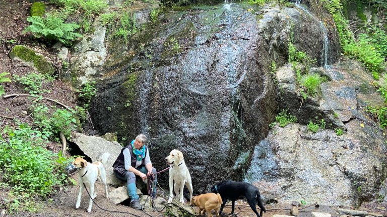 Hanne Schirmer und Hunde vor einem Wasserfall