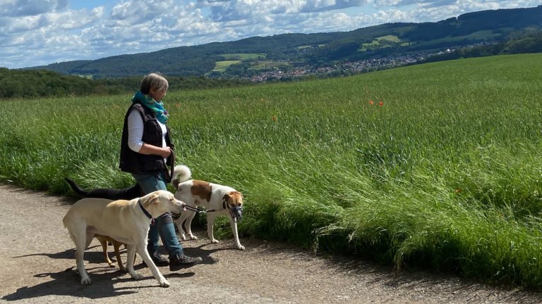 Hanne Schirmer mit Hunden auf einem Wiesenweg im Odenwald